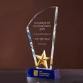 JC-2008A 星华奖杯-星 / Star Splendor Trophy — engraving mockup